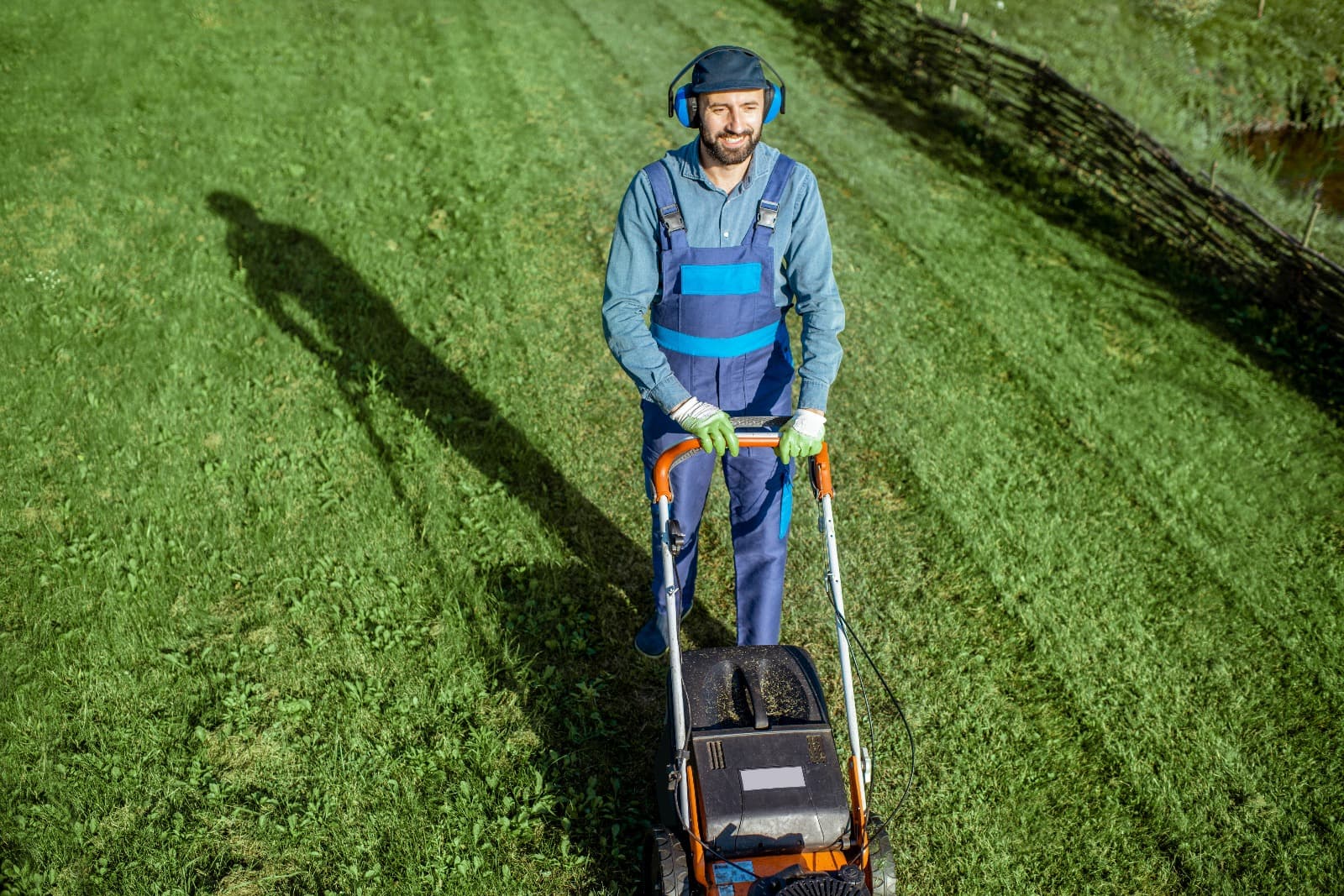Yard & Landscaping